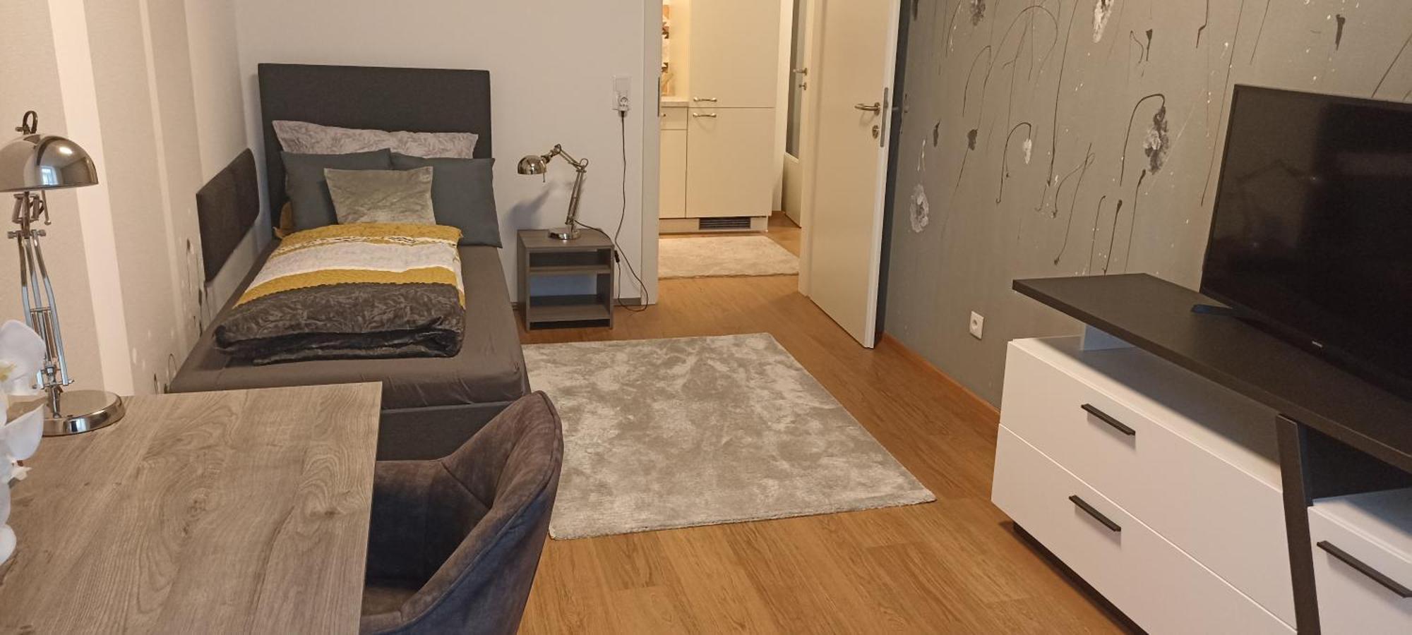 Wohnung In Leoben Zentrum Zwischen Hauptplatz Und Stadtpark 외부 사진