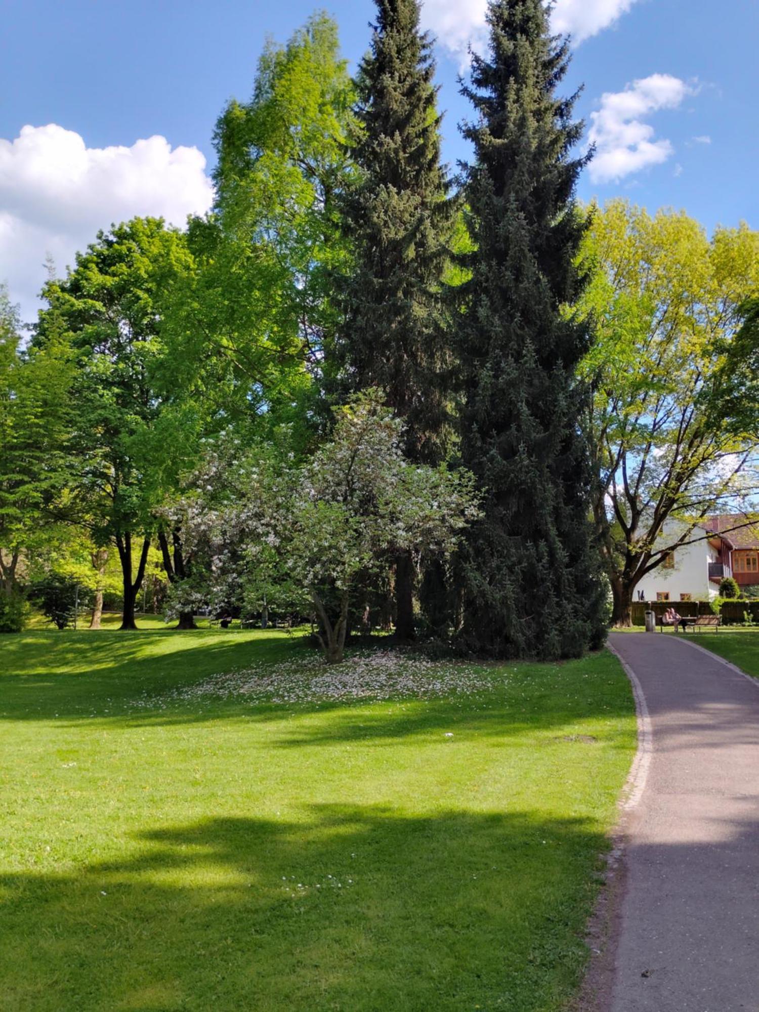 Wohnung In Leoben Zentrum Zwischen Hauptplatz Und Stadtpark 외부 사진